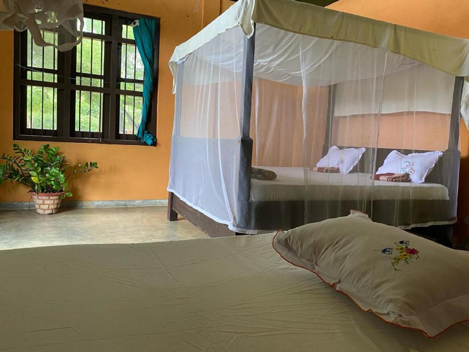 Yala Ying Yang Hostel & Camping المظهر الخارجي الصورة