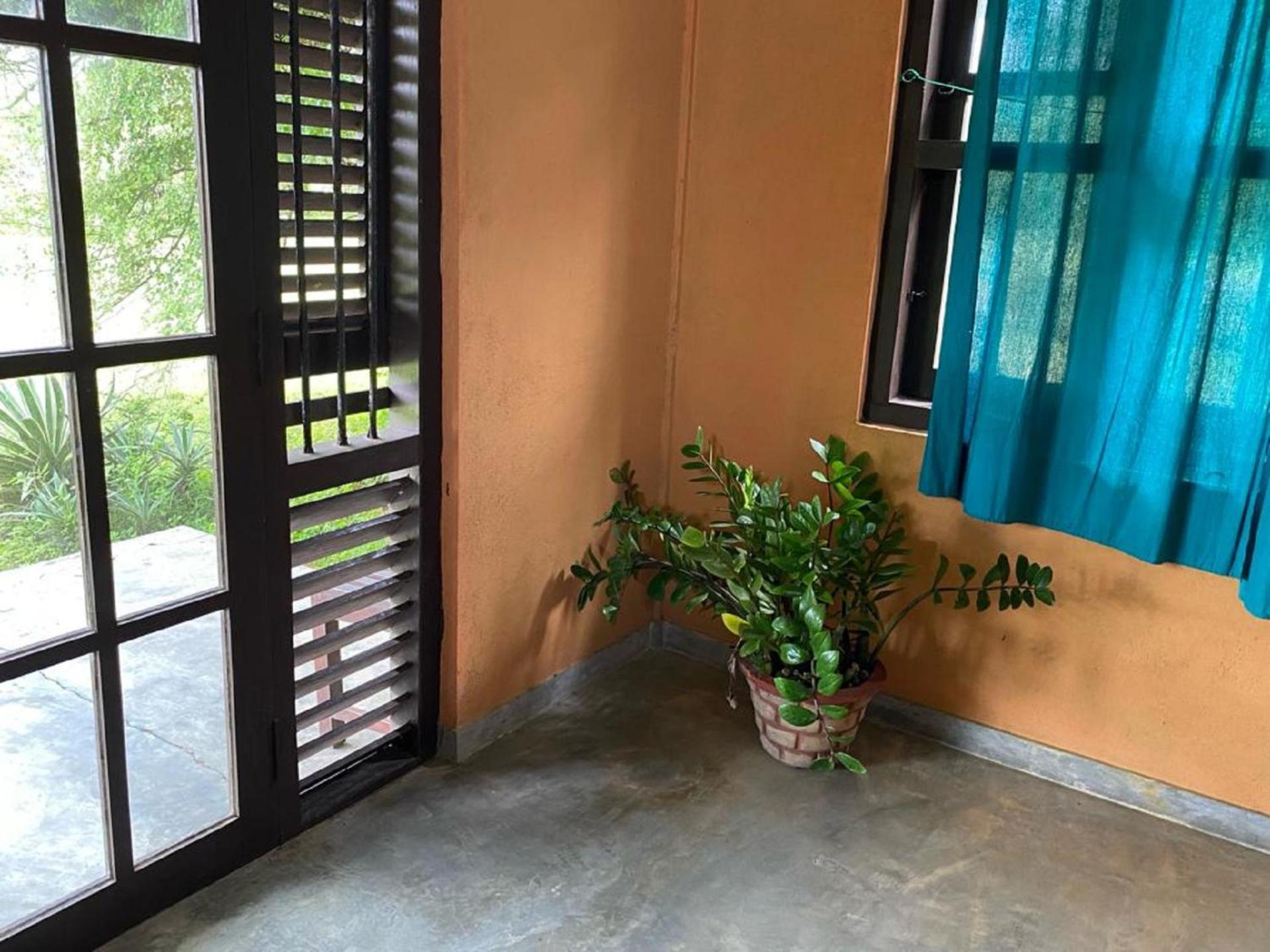Yala Ying Yang Hostel & Camping المظهر الخارجي الصورة