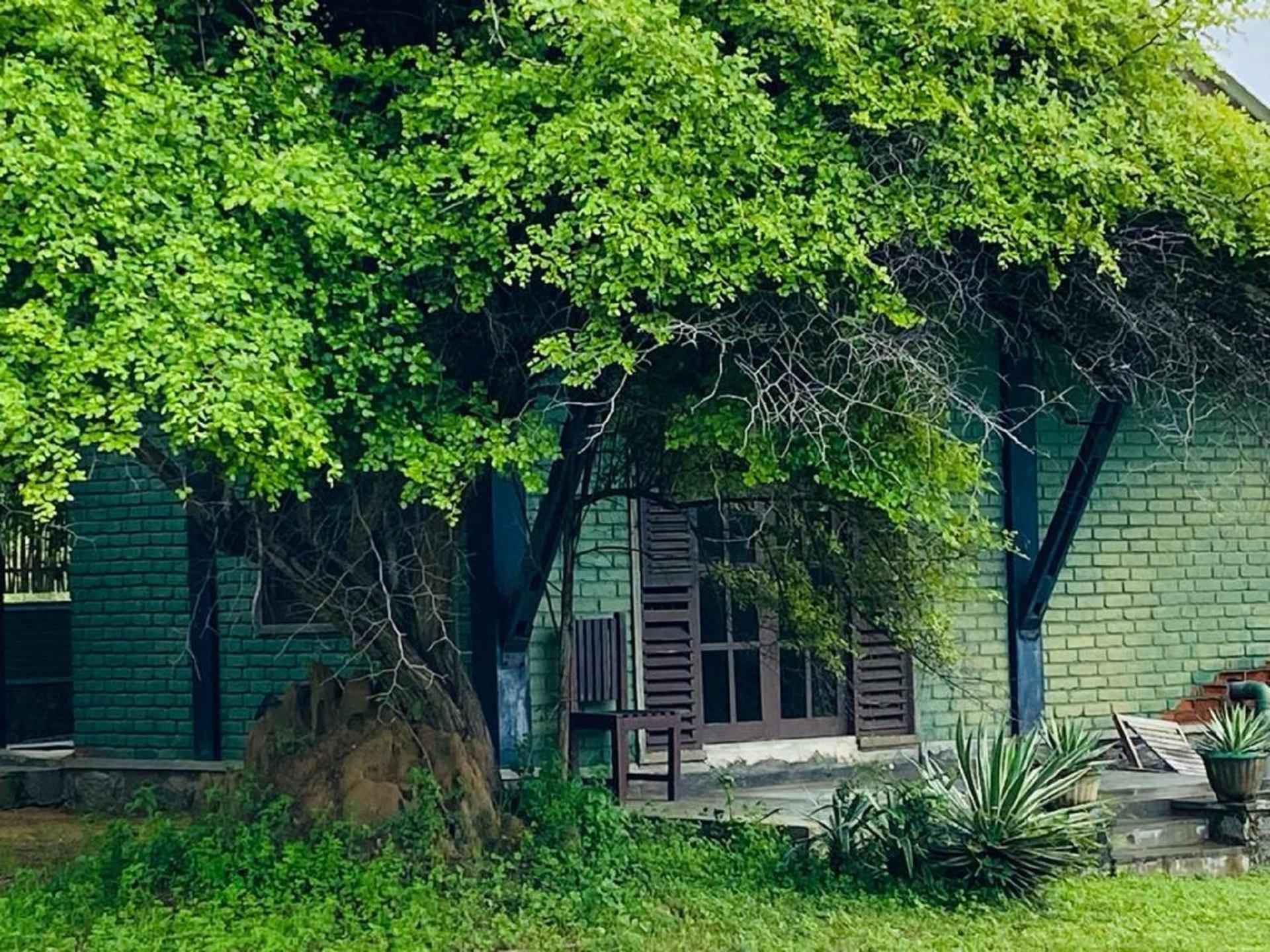 Yala Ying Yang Hostel & Camping المظهر الخارجي الصورة